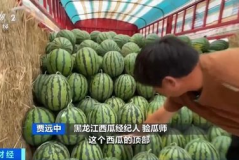 吃瓜网缅北,缅北风云背后的真相与争议