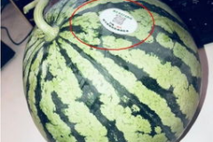 徐州丰县网红吃瓜,揭秘背后真相与网络舆论风暴